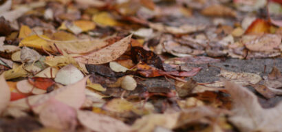 Sarouel d'automne – Betty Autier – Le Blog de Betty