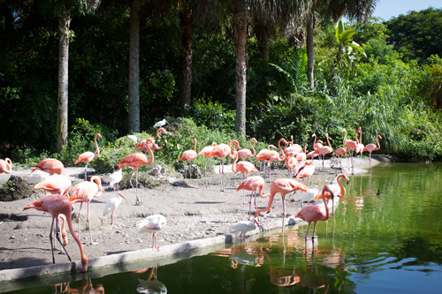 Goodbye Miami Hello September – Betty Autier – Le Blog de Betty