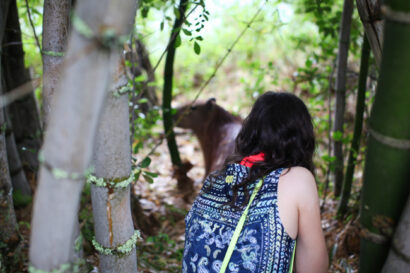 Florianópolis – Day 2 – Betty Autier – Le Blog de Betty