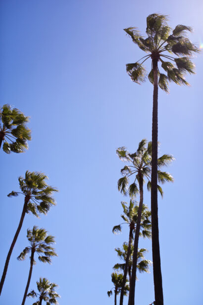 The Beverly Hills Hotel – Betty Autier – Le Blog de Betty