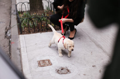 New York … – Betty Autier – Le Blog de Betty