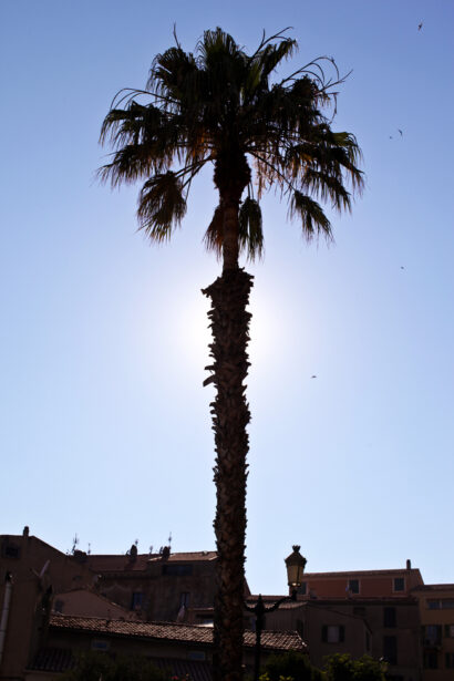 Calvi (on the) rocks – Betty Autier – Le Blog de Betty