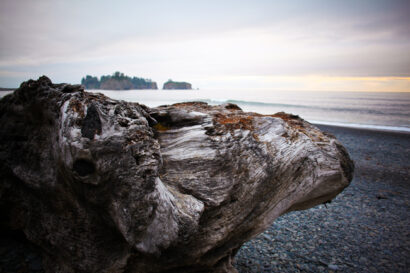 Rialto Beach – Betty Autier – Le Blog de Betty