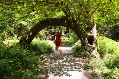 Hoh Rainforest – Betty Autier – Le Blog de Betty