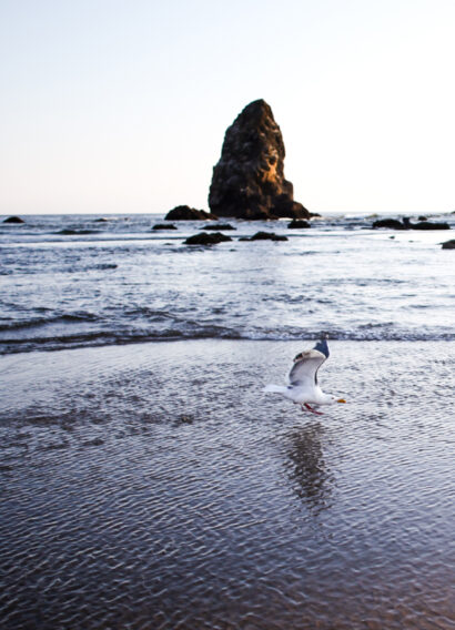 Cannon beach – Betty Autier – Le Blog de Betty