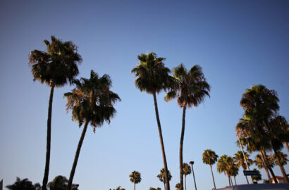 L.A to Orlando – Betty Autier – Le Blog de Betty