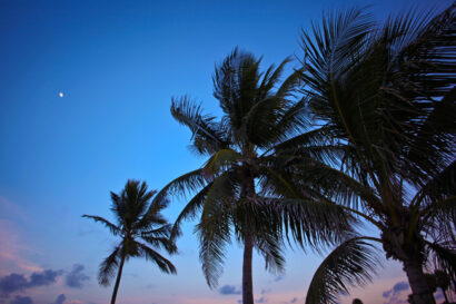 Bienvenido a Miami – Betty Autier – Le Blog de Betty