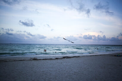 Bienvenido a Miami – Betty Autier – Le Blog de Betty