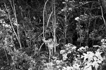 Key West moments – Betty Autier – Le Blog de Betty