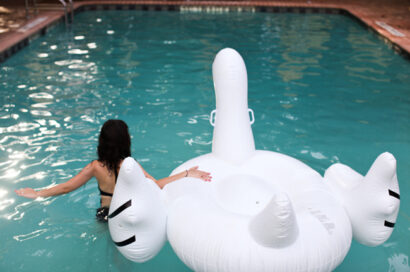 Swan lake – Betty Autier – Le Blog de Betty
