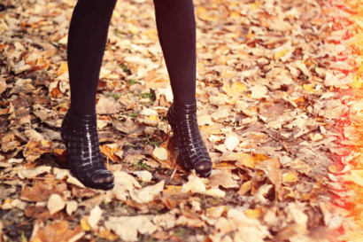 L'Automne – Betty Autier – Le Blog de Betty