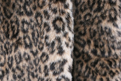 A Leopard in Paris – Betty Autier – Le Blog de Betty
