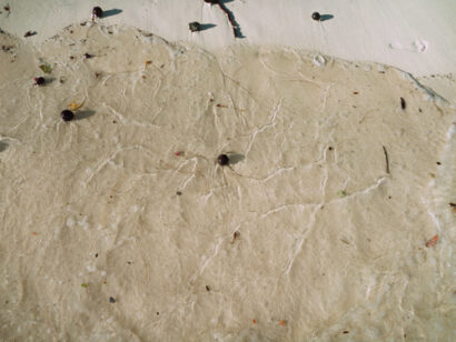 Playa Interlude – Betty Autier – Le Blog de Betty