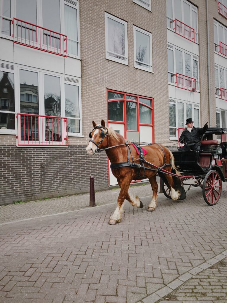Calèche tirée par un cheval dans une rue d’Amsterdam