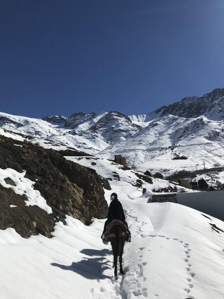 Randonnée à dos de mule dans l’Atlas enneigé