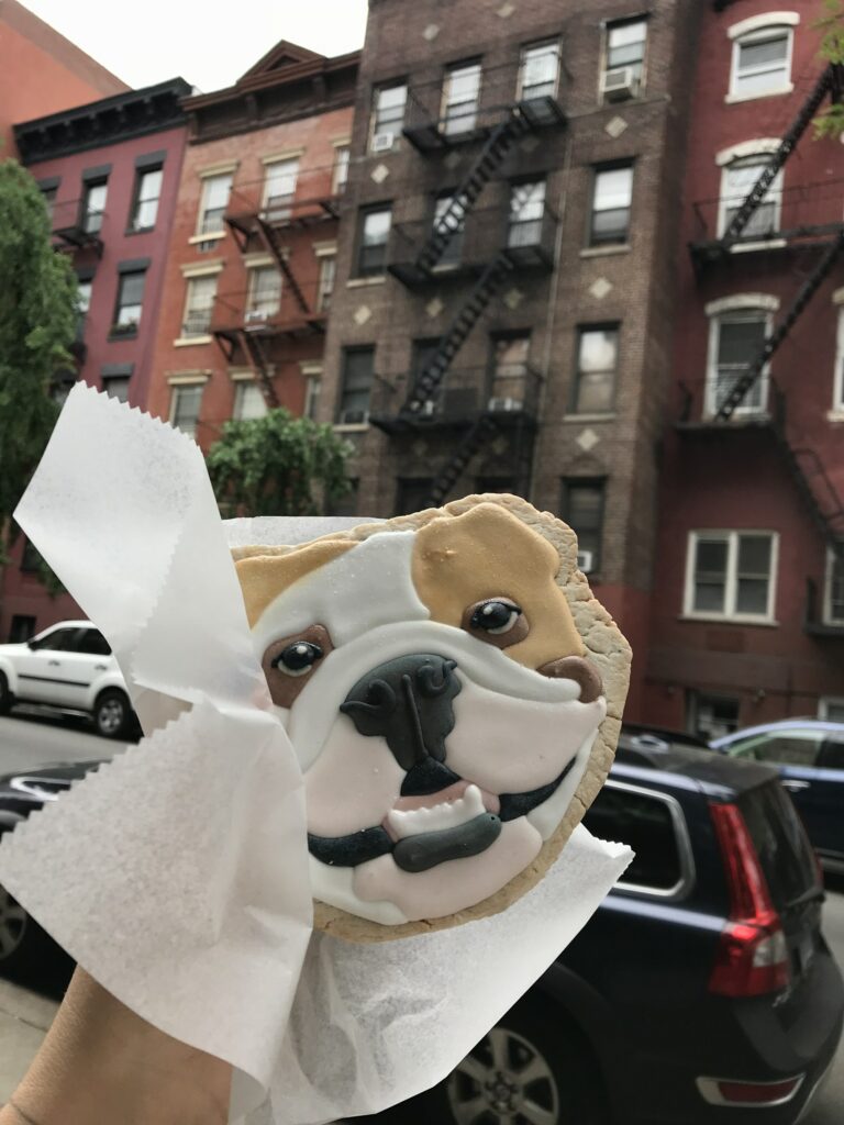 Cookie en forme de bulldog dans une rue de New York
