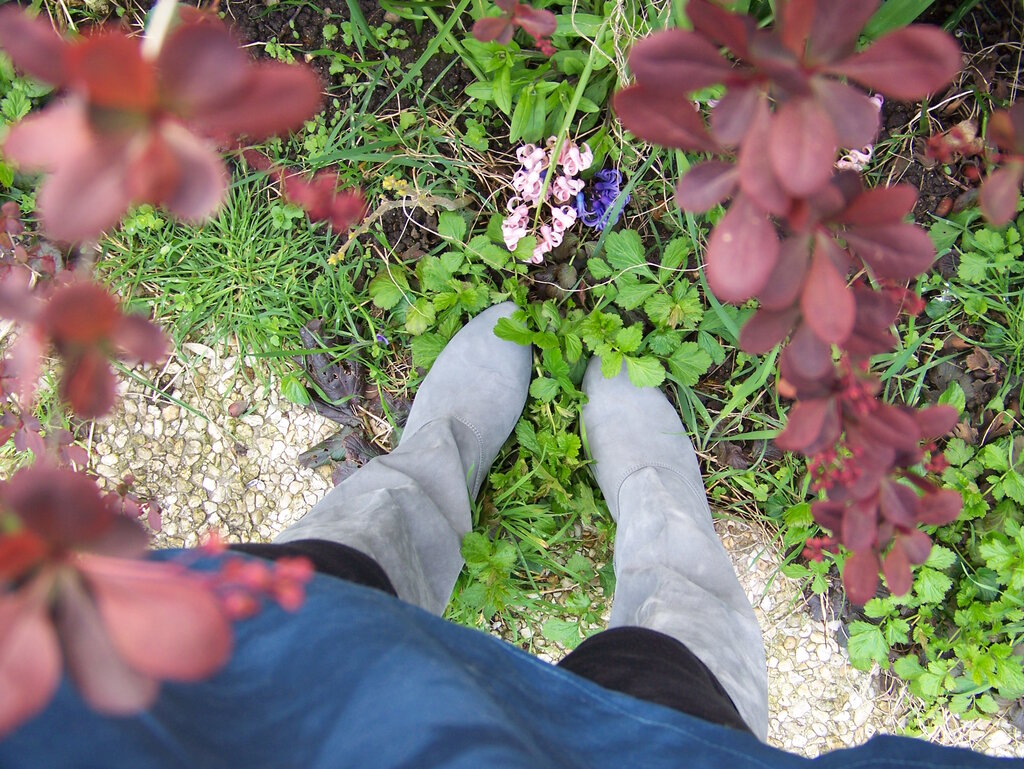 Bottes Dico Copenhagen