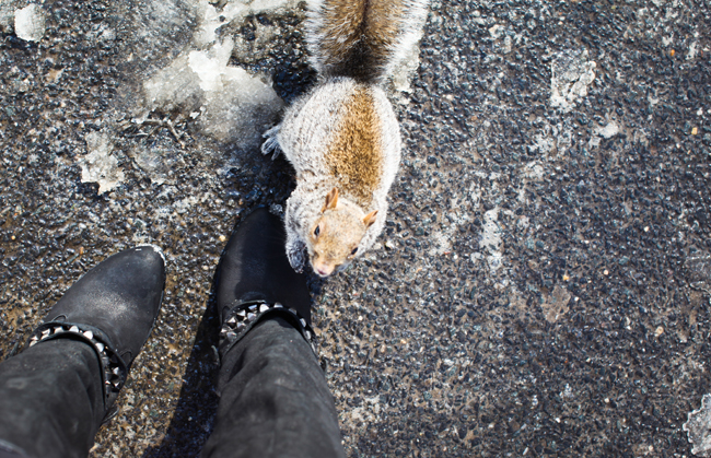 thom browne & central park – Betty Autier – Le Blog de Betty