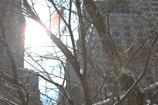 thom browne & central park – Betty Autier – Le Blog de Betty