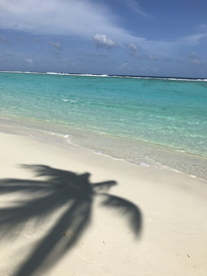 Ombre d’un palmier sur la plage du One&Only Reethi Rah