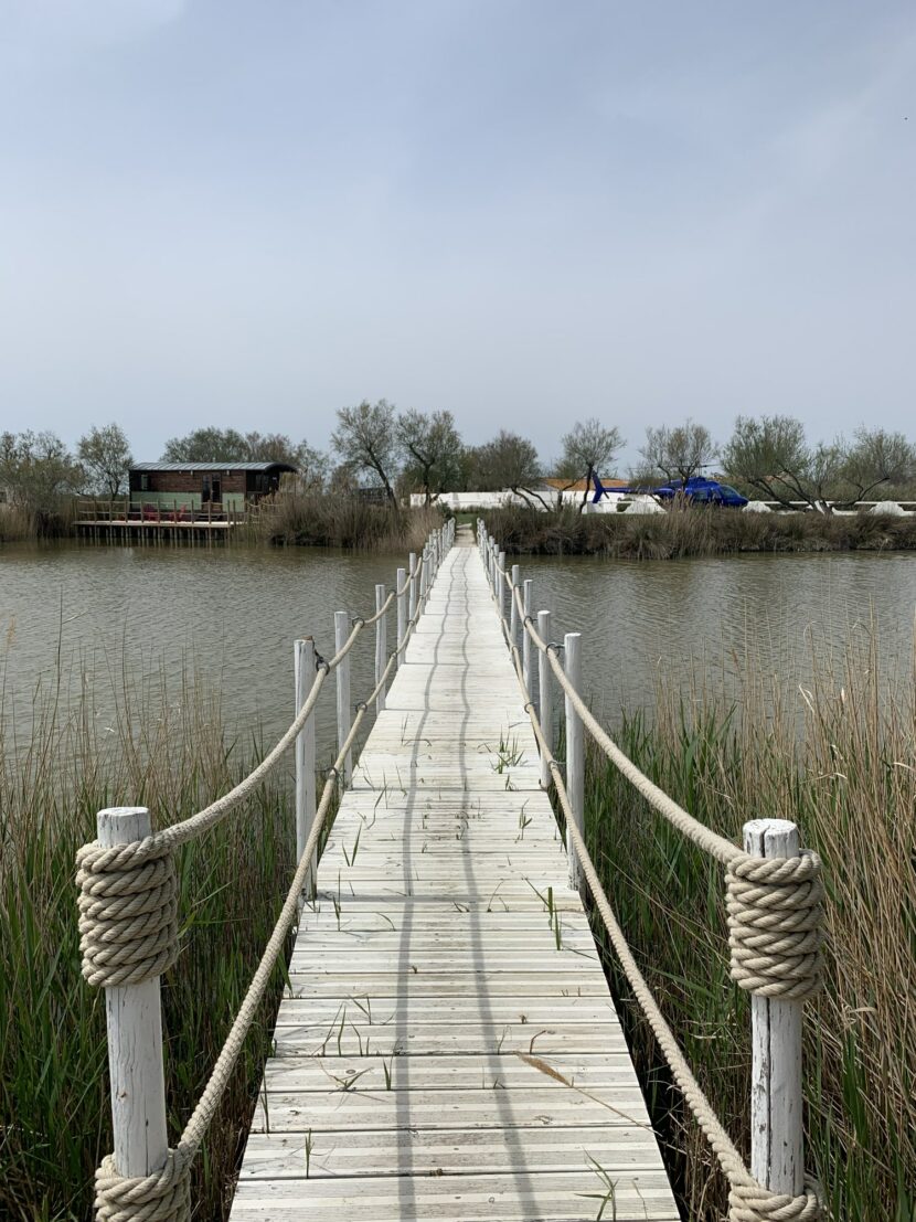 Ponton en bois sur l’étang du Mas de la Fouque en Camargue