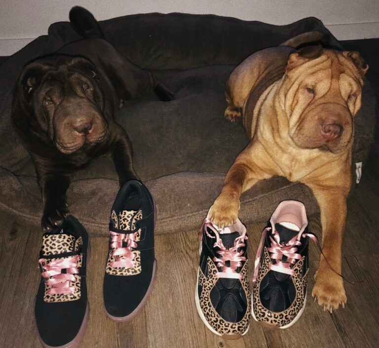 Les deux paires Reebok x Betty Autier imprimé léopard