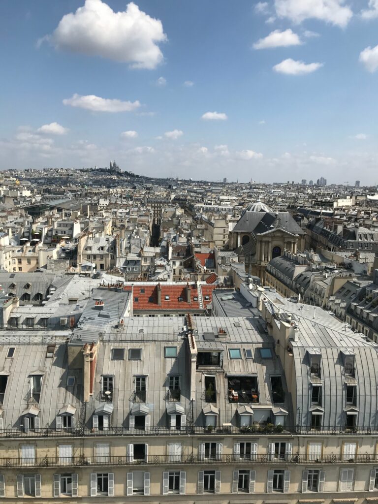Vue sur les toits de Paris depuis la grande roue